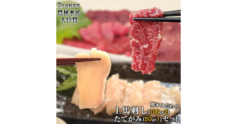 【ふるさと納税】馬刺し 上赤身 ブロック 国産 熊本肥育 冷凍 生食用 たれ付き(100g×2)＋たてがみセット(50g×1) 肉 期間限定 絶品 牛肉よりヘルシー 馬肉 予約 平成27年28年 農林水産大臣賞受賞 熊本県山江村《90日以内に出荷予定(土日祝除く)》