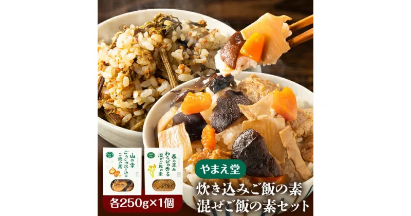 【ふるさと納税】炊き込みご飯の素 混ぜご飯の素セット 各250g×1個 有限会社 やまえ堂 《30日以内に出荷予定(土日祝除く)》山の幸 たけのこ 竹の子 筍 しいたけ きくらげ わらび 炊き込みご飯 混ぜ込みご飯 送料無料