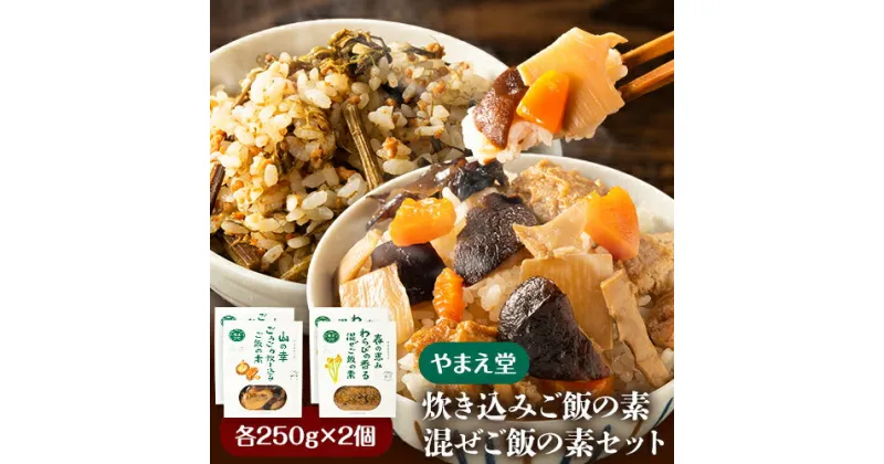 【ふるさと納税】炊き込みご飯の素 混ぜご飯の素セット 各250g×2個 有限会社 やまえ堂 《30日以内に出荷予定(土日祝除く)》山の幸 たけのこ 竹の子 筍 しいたけ きくらげ わらび 炊き込みご飯 混ぜ込みご飯 送料無料