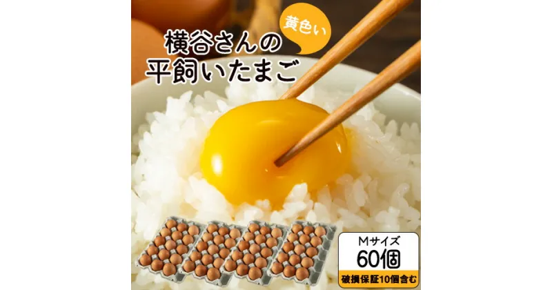 【ふるさと納税】横谷さんの平飼いたまご Mサイズ60個入り 破損保証10個含む 山江村ヤマメ生産組合《30日以内に出荷予定(土日祝除く)》