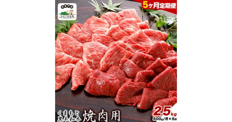 【ふるさと納税】【5ヶ月定期便】くまもと黒毛和牛 焼肉用 500g 計 2.5kg《お申込み月の翌月から出荷開始》 ひろこの台所