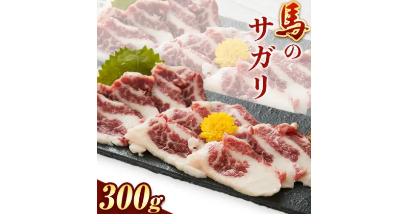 【ふるさと納税】馬のサガリ 300g 桜屋《30日以内に出荷予定(土日祝除く)》 熊本県 山江村 馬刺し 馬肉 肉 サガリ 送料無料