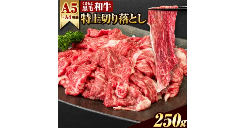 【ふるさと納税】くまもと黒毛和牛 特上赤身切り落とし 250g (250g×1) ウデ・モモ 牛肉 冷凍 《60日以内に出荷予定(土日祝除く)》冷凍庫 個別 取分け 小分け 個包装 モモ スライス 肉 お肉 しゃぶしゃぶ すき焼きA5 A4　選べる 内容量