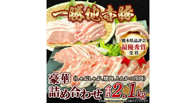 【ふるさと納税】熊本県 球磨村 農林水産大臣賞受賞 一勝地赤豚 詰め合わせ 2.1kg FKP9-139