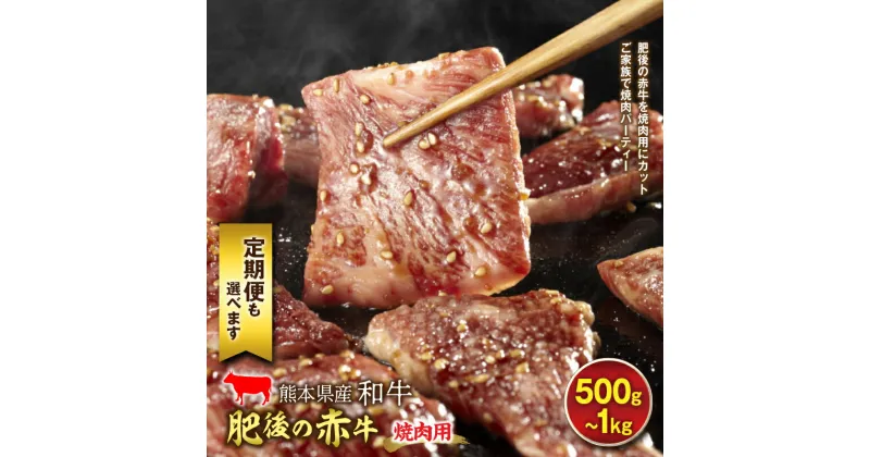 【ふるさと納税】＜選べる容量とお届け回数＞カット済み！肥後の赤牛 焼肉用 500g 1kg 定期便 1回 3回 6回 12回 あか牛 焼肉 牛肉 焼き肉 冷凍 肉 お肉 バーベキュー BBQ 熊本県 FKP9-451var