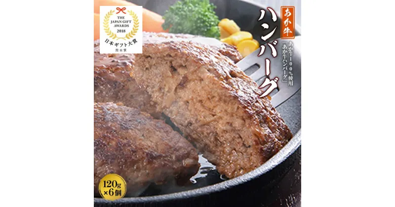 【ふるさと納税】あか牛ハンバーグ（120g×6個） FKP9-503