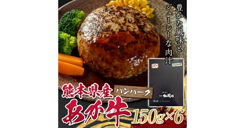 【ふるさと納税】熊本県産あか牛ハンバーグ150g×6個 FKP9-328