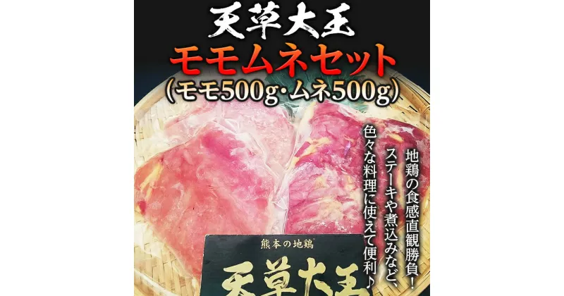 【ふるさと納税】天草大王　モモムネセット(モモ500g・ムネ500g) FKP9-334