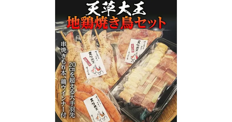 【ふるさと納税】天草大王 地鶏 焼き鳥セット 鳥串 手羽先 鶏肉 ウィンナー 焼鳥 ブランド肉 詰め合わせ 小分け 盛り合わせ バーベキュー BBQ FKP9-340