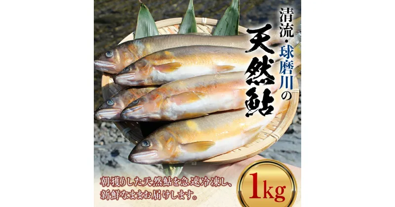 【ふるさと納税】球磨川の天然鮎 1kg あゆ アユ 魚 塩焼き 川魚 魚介 海鮮 冷凍 FKP9-365