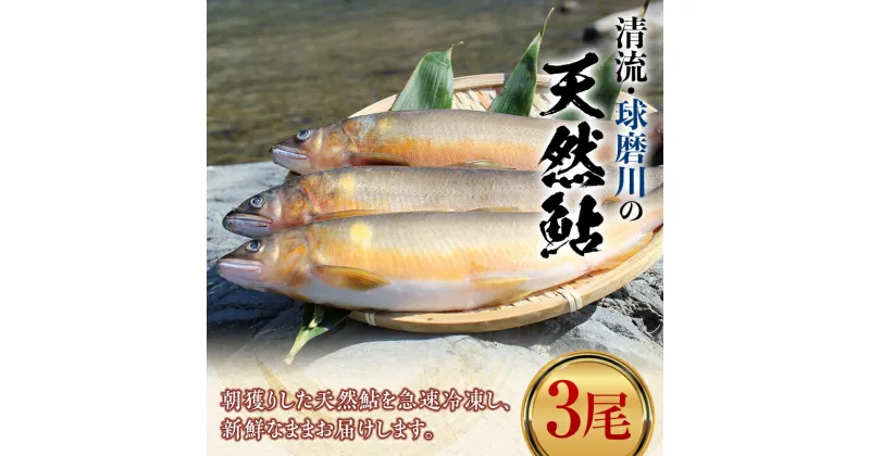 【ふるさと納税】球磨川の天然鮎 3尾 あゆ アユ 魚 塩焼き 川魚 魚介 海鮮 冷凍 FKP9-366