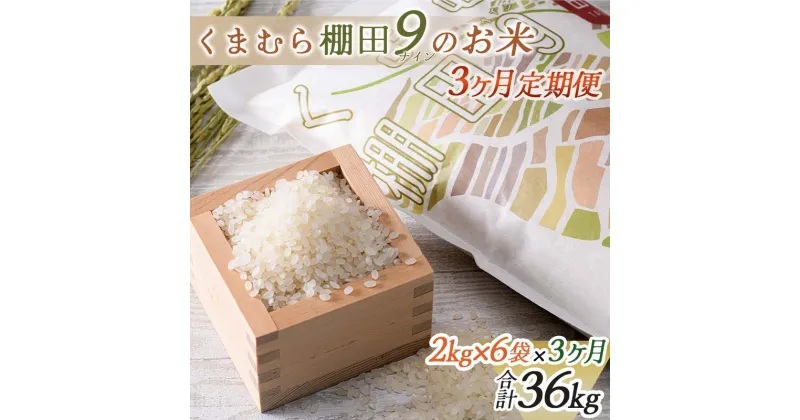 【ふるさと納税】 【令和6年産】【3カ月定期便】 球磨村産 棚田米／白米12kg FKP9-467