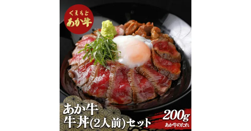 【ふるさと納税】あか牛丼(2人前)セット FKP9-505