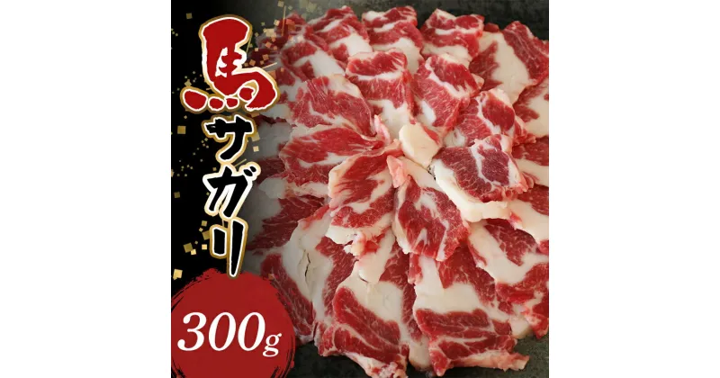 【ふるさと納税】馬サガリ 300g FKP9-587