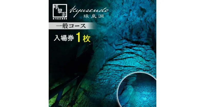 【ふるさと納税】球泉洞 入場チケット (一般コース) 1枚 鍾乳洞 鍾乳石 地下 観光 自然 FKP9-615