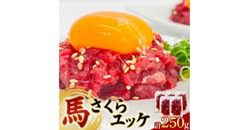 【ふるさと納税】馬さくら ユッケ 250g (50g×5) 馬肉 小分け 冷凍 九州 熊本県 球磨村 FKP9-617