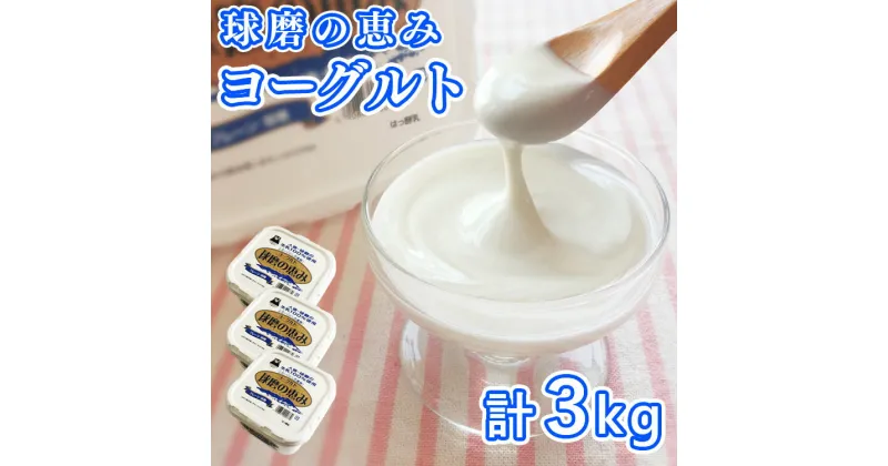 【ふるさと納税】とろ〜り食感　球磨の恵みヨーグルト 加糖タイプ 1kg×3パック 　お届け時期：入金確認後20日前後