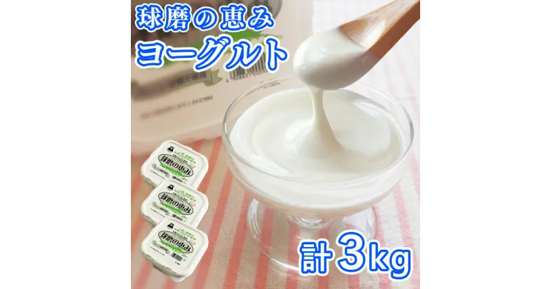 【ふるさと納税】とろ〜り食感!!球磨の恵みヨーグルト 砂糖不使用タイプ 1kg×3パック 　お届け時期：入金確認後20日前後