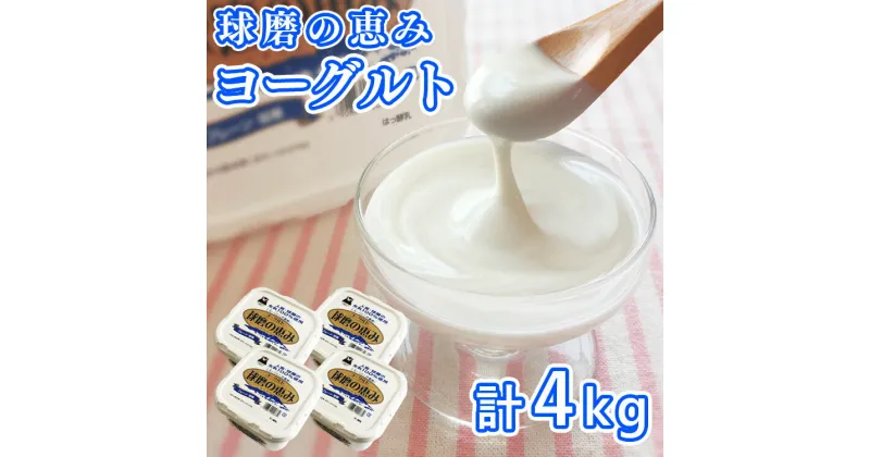 【ふるさと納税】とろ〜り食感!!球磨の恵みヨーグルト 加糖タイプ 1kg×4パック 　お届け時期：入金確認後20日前後