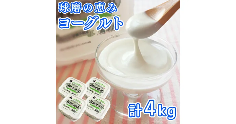 【ふるさと納税】とろ〜り食感!!球磨の恵みヨーグルト 砂糖不使用タイプ 1kg×4パック 　お届け時期：入金確認後20日前後