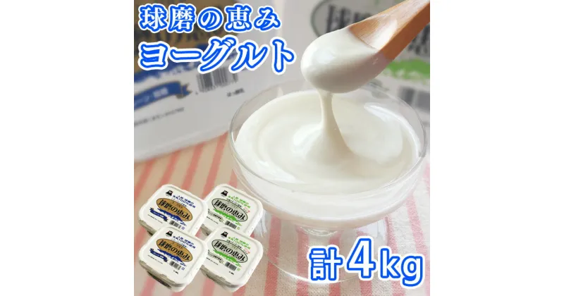 【ふるさと納税】とろ〜り食感!!球磨の恵みヨーグルトセット1kg×4パック (加糖・砂糖不使用 各2パック) 　お届け時期：入金確認後20日前後