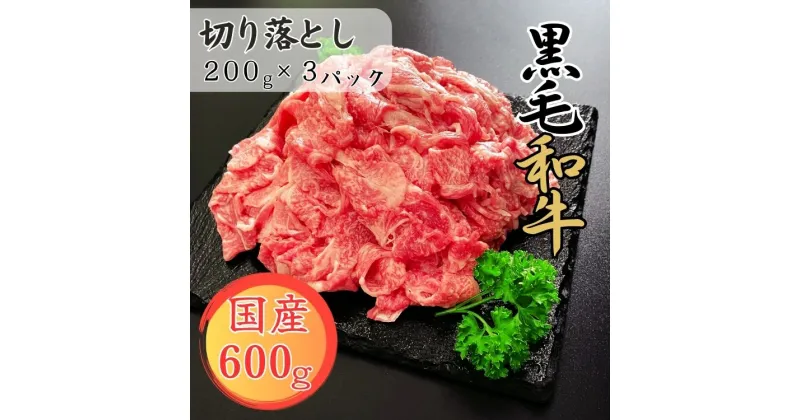 【ふるさと納税】球磨牛　国産黒毛和牛切り落とし 600g(200g×3パック) 　お届け時期：入金確認後20日前後