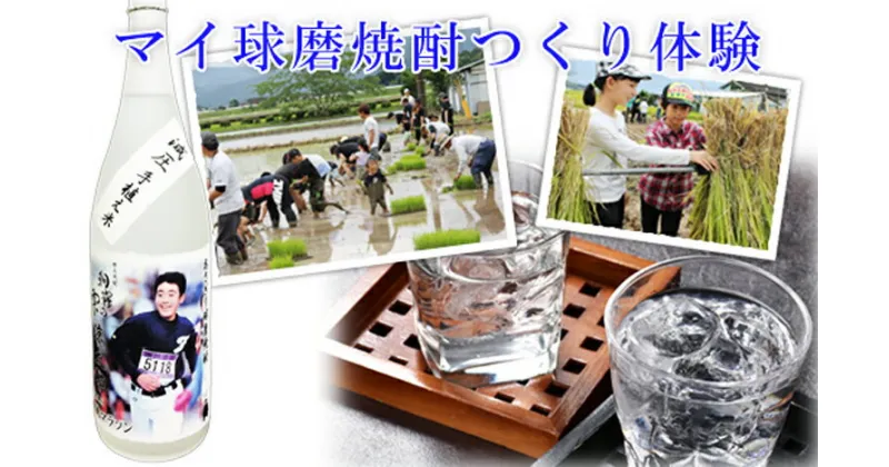 【ふるさと納税】マイ球磨焼酎つくり体験オーナー制度【焼酎造り体験：田植え：稲刈り：焼酎仕込み　計3種】【お礼の品：米焼酎4合瓶(常圧1本、減圧1本　計2本)】