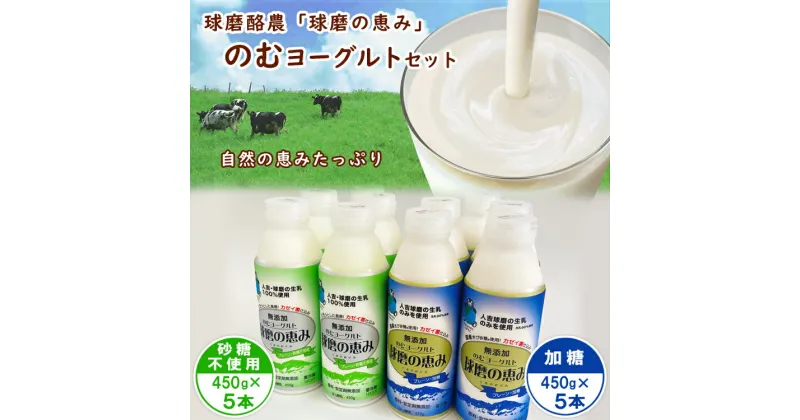 【ふるさと納税】球磨の恵み「のむヨーグルト」450g×10本セット(加糖450g×5本・砂糖不使用450g×5本) 　お届け時期：入金確認後20日前後