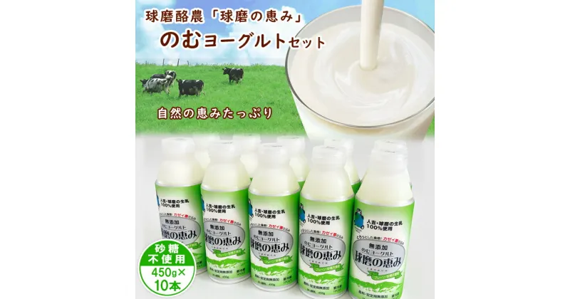 【ふるさと納税】球磨の恵み「のむヨーグルト」砂糖不使用450g×10本セット　　お届け時期：入金確認後20日前後