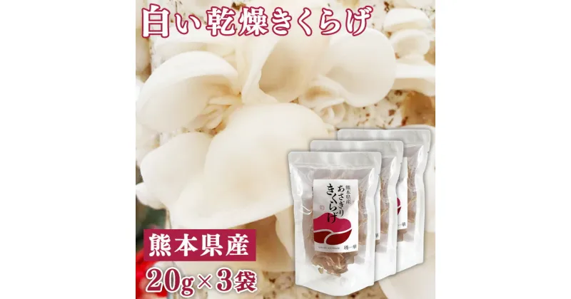 【ふるさと納税】熊本県産　白い乾燥きくらげ20g×3袋　お届け時期：入金確認後20日前後　【キクラゲ / 木耳 / 国産】