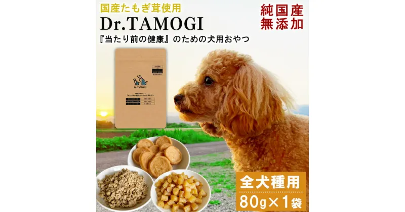 【ふるさと納税】犬 おやつ 無添加 「Dr.TAMOGI 80g×1袋」純国産 ドッグフード たもぎ茸 たもぎ エルゴチエネイン 犬のおやつ 犬用 オヤツ ペットフード いぬ 犬用おやつ 送料無料【お届け時期：入金確認後20日前後】