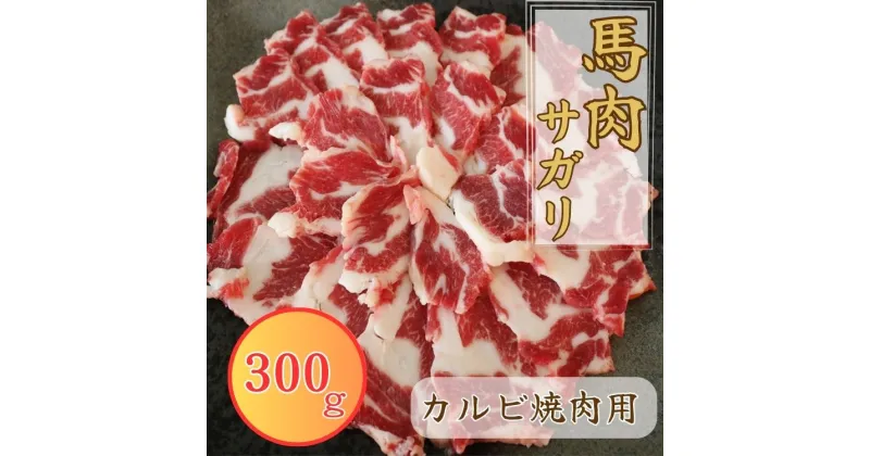 【ふるさと納税】馬肉サガリ カルビ焼肉用(ヒモ肉) 300g 馬肉 サガリ カルビ 焼肉 ヒモ肉 馬焼き【お届け時期：入金確認後2ヶ月前後で発送】