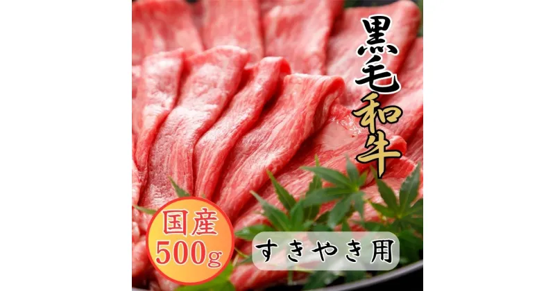 【ふるさと納税】くまもと黒毛和牛 すきやき用　500g 黒毛和牛 すき焼き すきやき【お届け時期：入金確認後2ヶ月前後で発送】