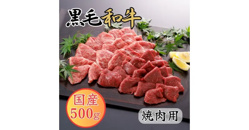 【ふるさと納税】 くまもと黒毛和牛 焼肉用 500g 黒毛和牛 焼肉【お届け時期：入金確認後2ヶ月前後で発送】