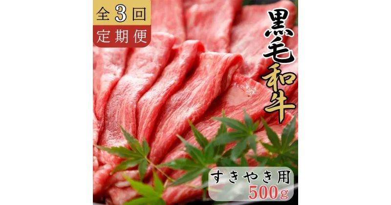 【ふるさと納税】《定期便3回》くまもと黒毛和牛 すきやき用 500g 黒毛和牛 すき焼き すきやき【お届け時期：入金確認後30日前後で発送】