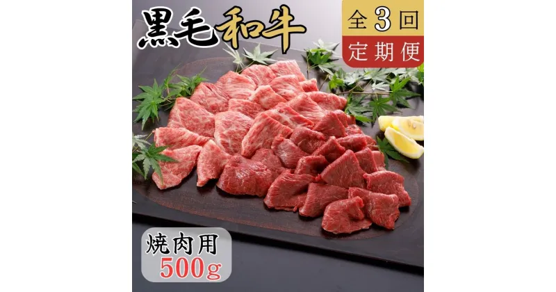 【ふるさと納税】《定期便3回》くまもと黒毛和牛 焼肉用 500g 黒毛和牛 焼肉 バーベキュー【お届け時期：入金確認後30日前後で発送】