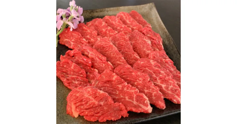 【ふるさと納税】 肥後の赤牛 ロース焼肉用500g　K59R【お届け時期：入金確認後2ヶ月前後で発送】