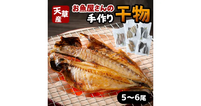 【ふるさと納税】干物 天然塩 天草近海 5～6尾 魚屋 手作り 天草 苓北 熊本 送料無料