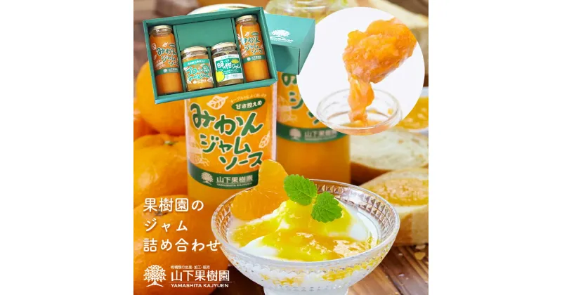 【ふるさと納税】みかん 加工品 ジャム 贈答 スイーツ 蜜柑 天草 苓北 熊本 送料無料