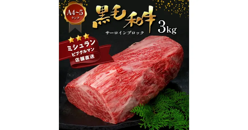 【ふるさと納税】 黒毛和牛 サーロイン ブロック 3kg A4 ～ A5 ランク ミシュラン ビブグルマン 国産 肉 牛肉 黒牛 天草 苓北 熊本 産地直送 楽天ふるさと 送料無料