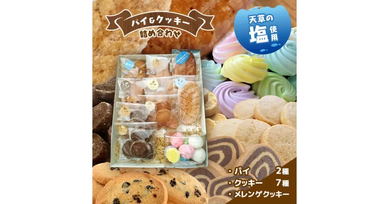 【ふるさと納税】天草 塩 パイ クッキー 7種 詰め合わせ 大 サイズ 焼き 菓子 メレンゲ 贈り物 プレゼント 天草 苓北 熊本 送料無料