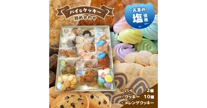 【ふるさと納税】天草 塩 パイ クッキー 10種 詰め合わせ 特大 サイズ 焼き 菓子 メレンゲ 贈り物 プレゼント 天草 苓北 熊本 送料無料