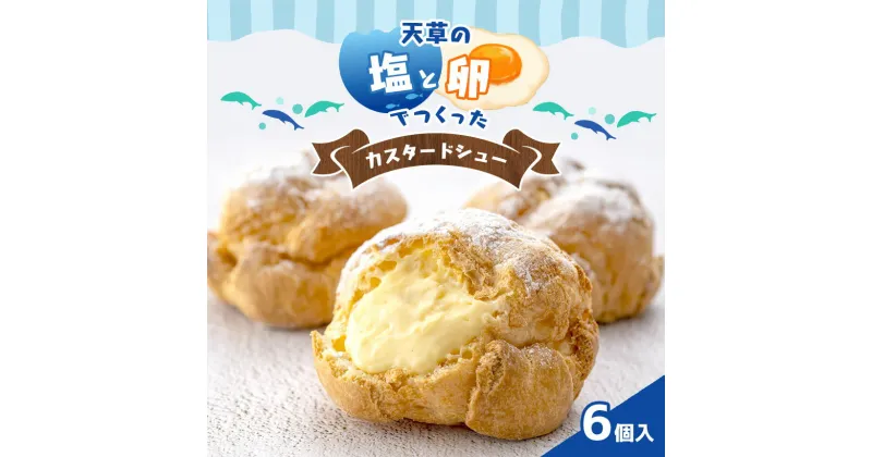 【ふるさと納税】天草 塩 卵 カスタード シュー クリーム 焼き 菓子 贈り物 プレゼント 天草 苓北 熊本 送料無料