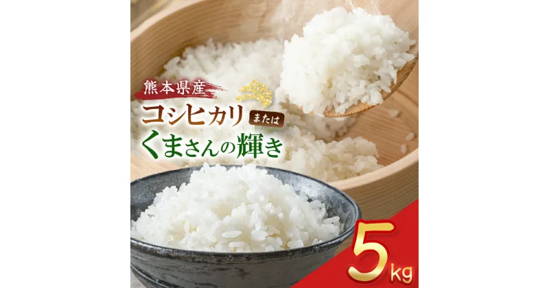 【ふるさと納税】熊本県産 コシヒカリ or くまさんの輝き 5kg | 米 生産者直送 天草 苓北 鶴 地区 龍 の里 蛍 国産 九州 熊本 名水 百選 5キロ 送料無料