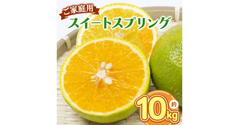 【ふるさと納税】 熊本県産 ご家庭用 スイートスプリング 約 10 kg 柑橘 かんきつ みかん 品種 果実 フルーツ 果物 産地直送 国産 九州 熊本県天草 西海岸 苓北町 産 5 キロ 送料無料 訳あり