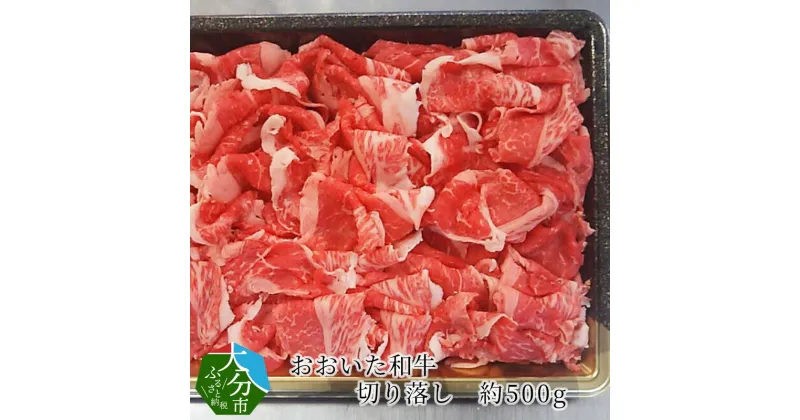 【ふるさと納税】おおいた和牛 切り落し 約500g 牛肉 国産 大分県産 ブランド牛 豊後牛 おおいた和牛 和牛 肉質 4等級以上 霜降り サシ 炒め物 煮物 すき焼き 牛丼 肉じゃが 冷凍 お肉 切り落とし 使いやすい お取り寄せ お取り寄せグルメ A01059