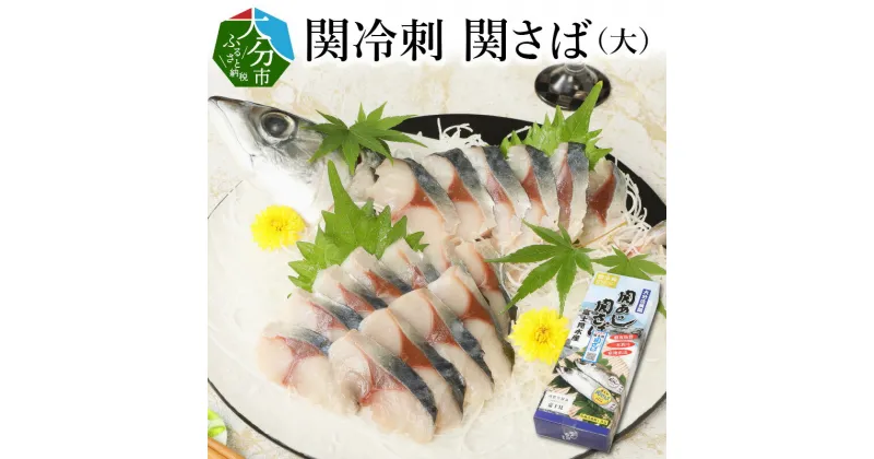 【ふるさと納税】関冷刺 関さば（大） 関サバ 関さば さば サバ 鯖 真さば 真サバ マサバ 魚 600g 3枚おろし 下処理済み 関冷刺 お刺身 刺身 海鮮丼 りゅうきゅう 冷凍 流水解凍 新鮮 佐賀関 豊後水道 国産 九州産 大分県産 大分特産品 大分名産 期間限定 旬 E04002