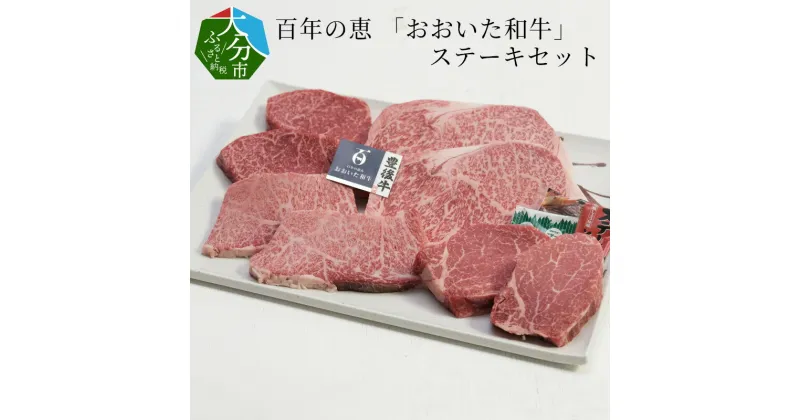 【ふるさと納税】百年の恵 「おおいた和牛」 ステーキセット約800g 国産 牛肉 豊後牛 ブランド牛 おおいた和牛 和牛 肉質4等級以上 ロース モモ カルビ ヒレ ステーキ 牛モモ 牛カルビ 食べ比べ 焼肉 焼き肉 お取り寄せ お取り寄せグルメ 詰め合わせ 詰合せ 冷凍 A01066