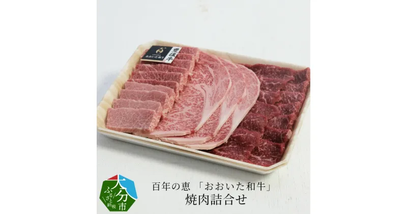 【ふるさと納税】百年の恵 「おおいた和牛」 焼肉詰合せ約990g 国産 大分産 牛肉 ブランド牛 おおいた和牛 豊後牛 肉質4等級以上 霜降り サシ 牛ロース 牛モモ 牛カルビ 詰め合わせ お取り寄せ お取り寄せグルメ 焼肉 焼き肉 バーベキュー キャンプ 冷凍 A01064