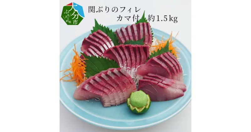 【ふるさと納税】関ぶりのフィレ（カマ付） 約1.5kg 国産 九州産 大分県産 佐賀関 天然ぶり 天然ブリ 関ブリ 関鰤 鰤 ぶり ブリ ブランド魚 ぶりかま 新鮮 刺し身 刺身 さしみ 海鮮丼 魚介類 海産物 焼き魚 煮物 お取り寄せ お取り寄せグルメ 冷凍 送料無料 E04015